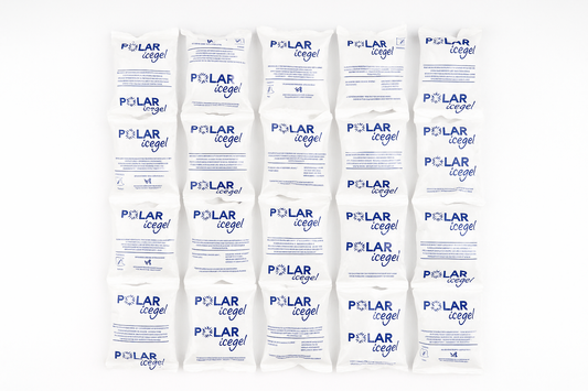 Economic Fast Ice Pack 24 Cellette Refrigeranti 880g - Ghiaccio Sintetico Ecologico Professionale